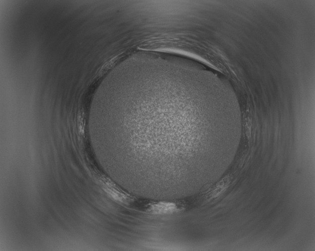 X0000084030374200702232304