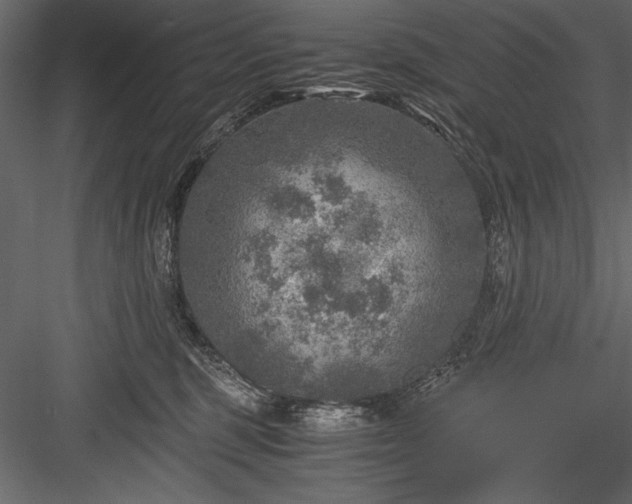 X0000084030375200702232304