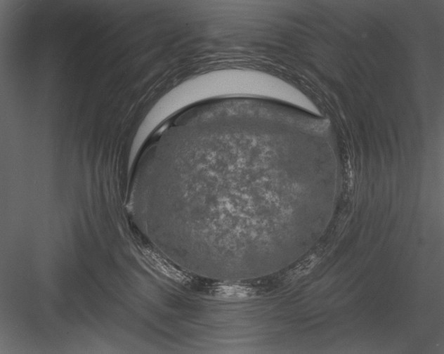 X0000084030376200702232305