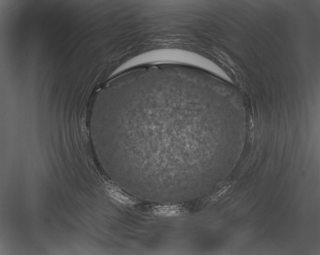 X0000084030377200702232305