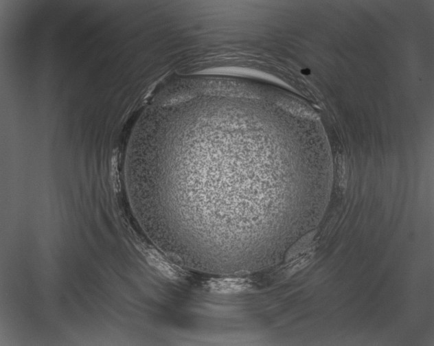 X0000084030378200702232305