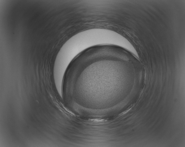 X0000084030380200702232305