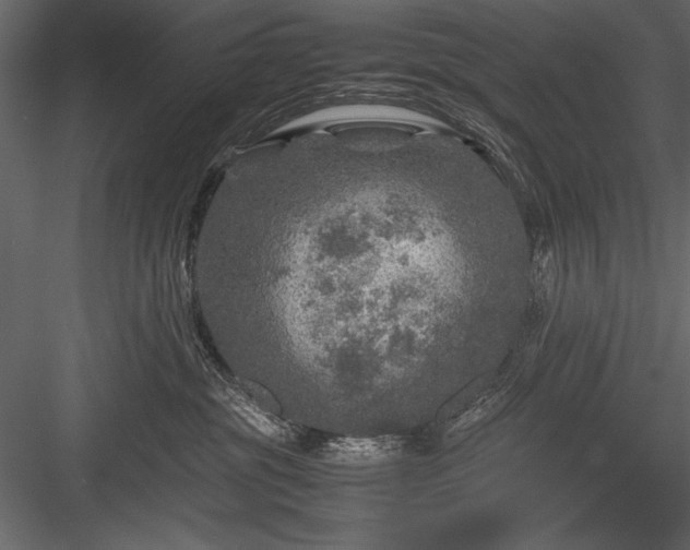 X0000084030381200702232305