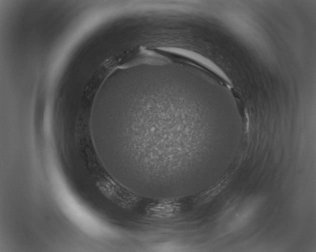 X0000084030383200702232305