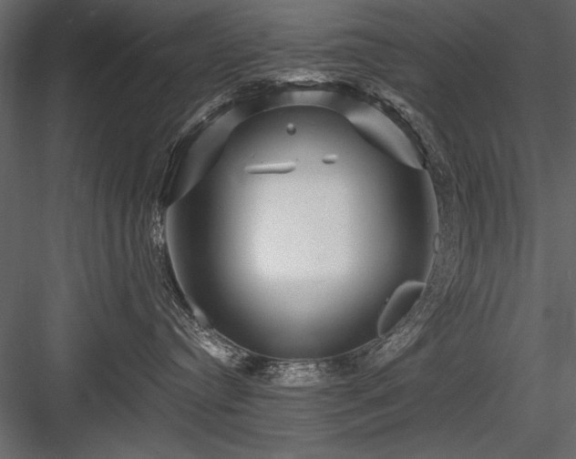 X0000084030384200702232305