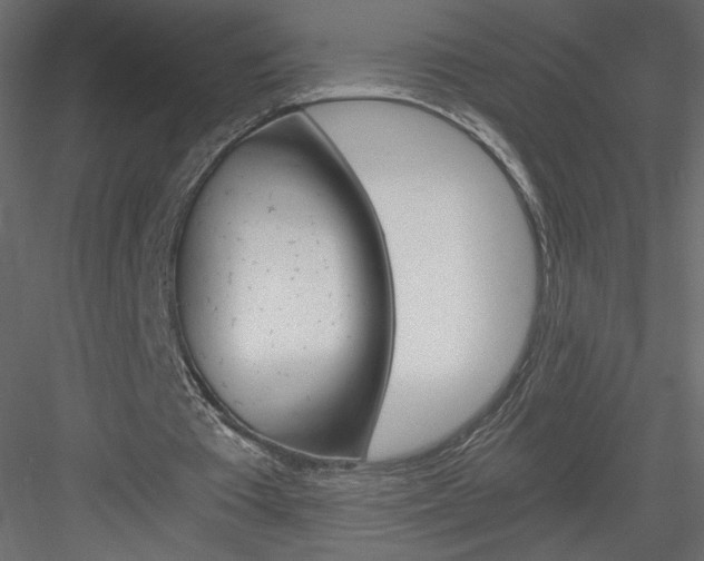 X0000084030385200702232304