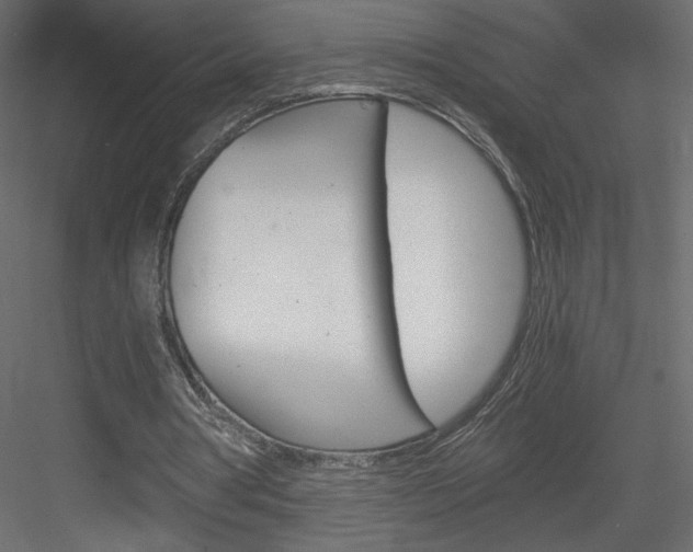 X0000084030386200702232304