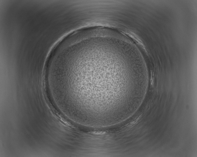 X0000084030388200702232304