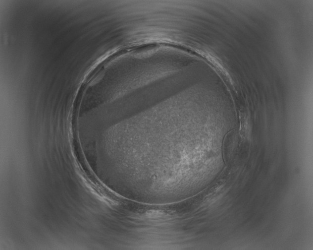 X0000084030390200702232304