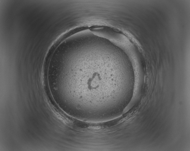 X0000084030391200702232304