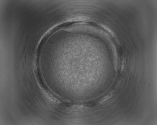 X0000084030392200702232304