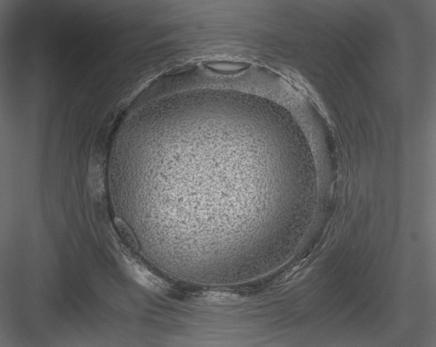 X0000084030393200702232304