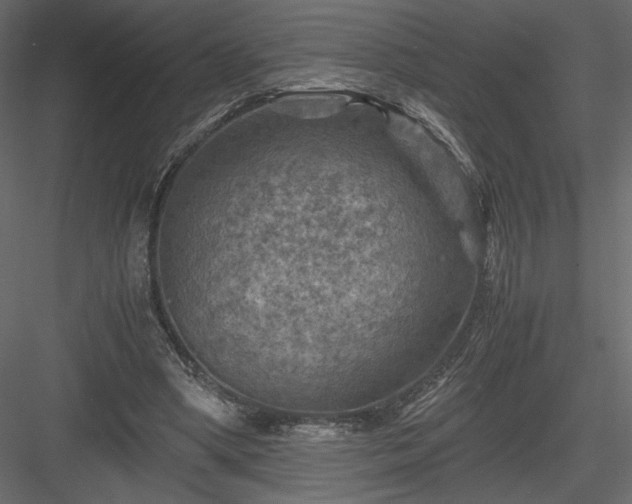 X0000084030394200702232304