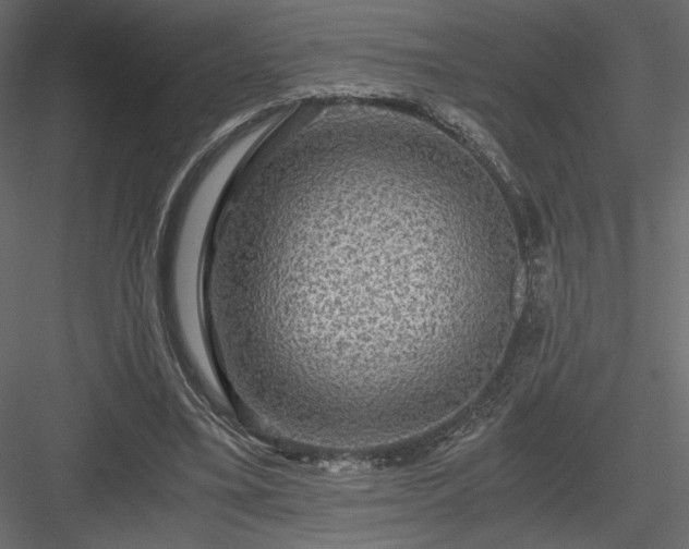 X0000084030395200702232304