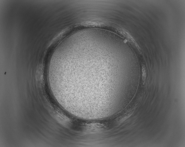 X0000084030396200702232304