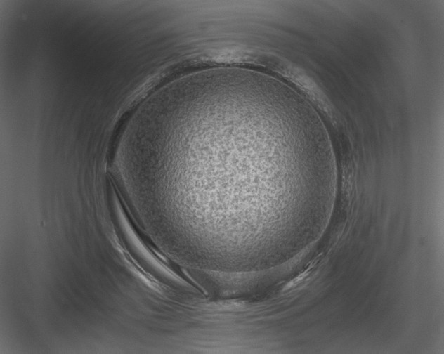 X0000084030397200702232304