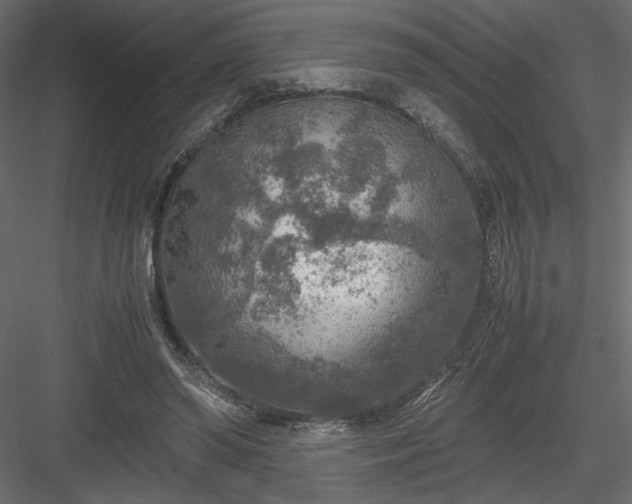 X0000084030398200702232304