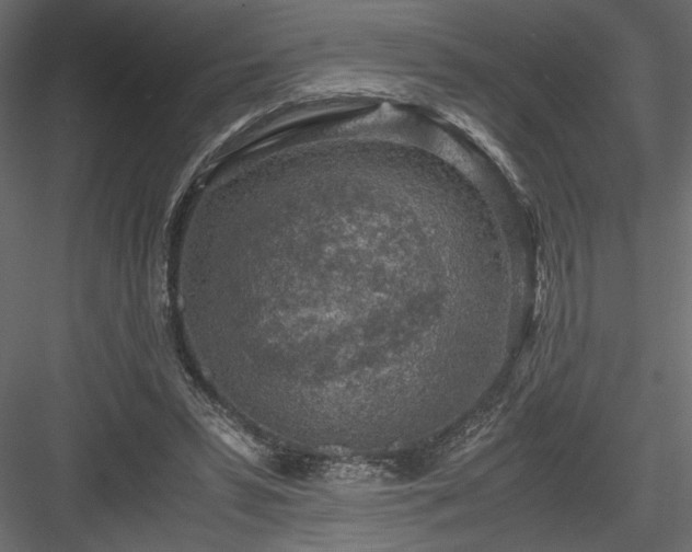 X0000084030399200702232304