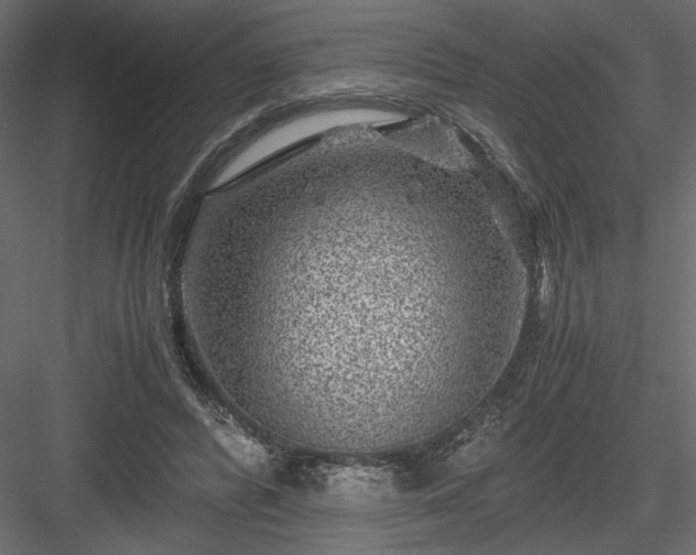 X0000084030400200702232304