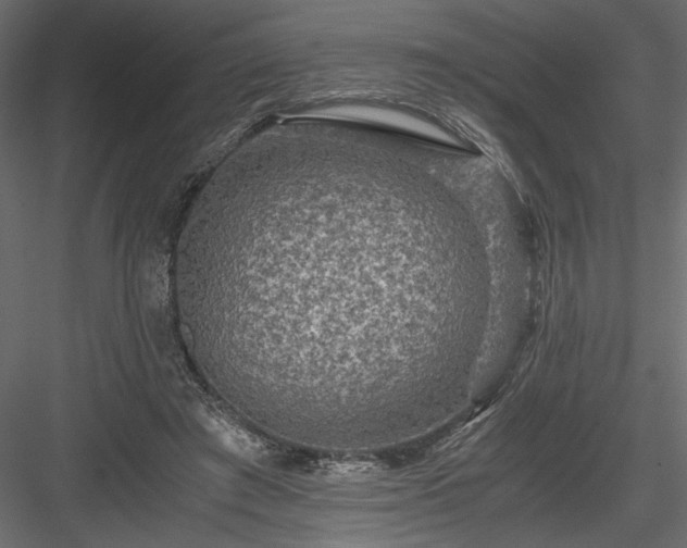 X0000084030401200702232304