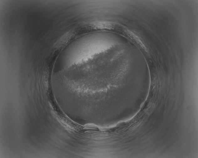 X0000084030402200702232304