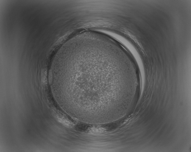 X0000084030403200702232304