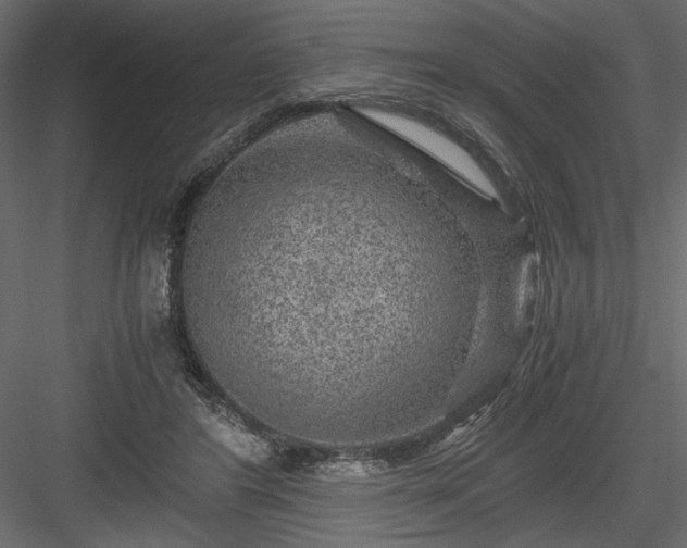 X0000084030404200702232303