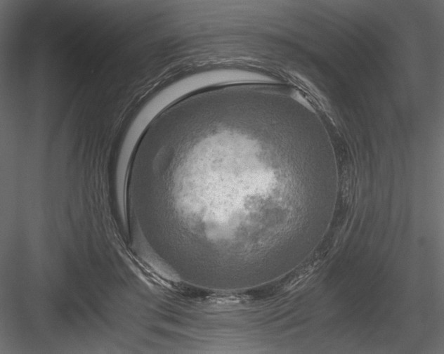 X0000084030405200702232303