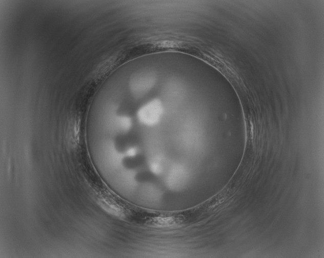 X0000084030406200702232303