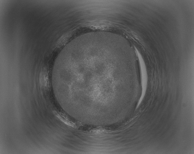 X0000084030408200702232303