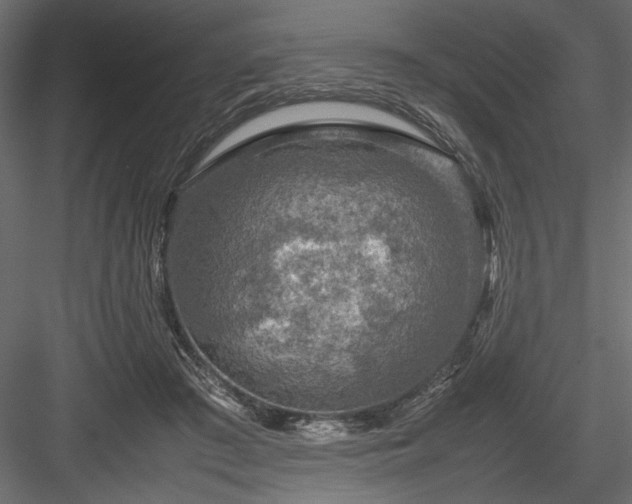 X0000084030409200702232303