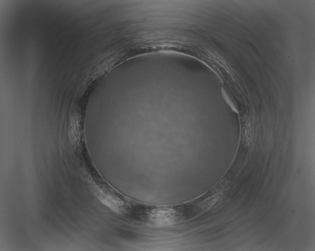 X0000084030410200702232303