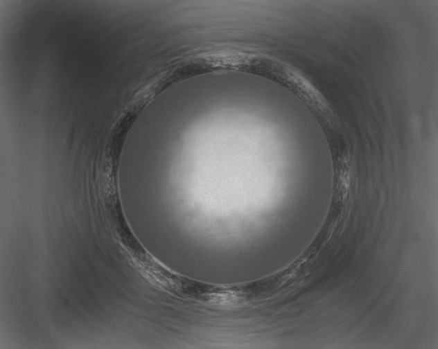 X0000084030411200702232303