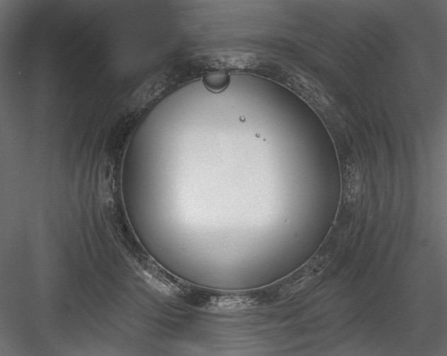 X0000084030414200702232303