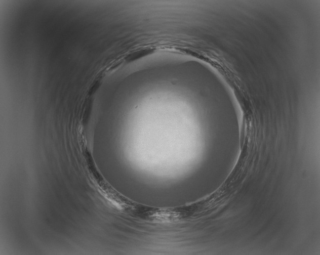 X0000084030415200702232303