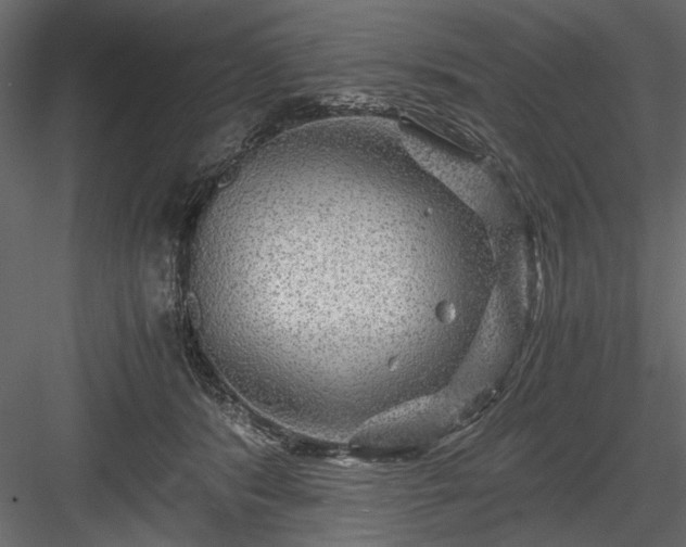 X0000084030416200702232303