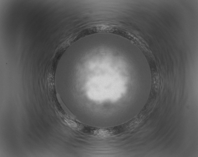 X0000084030419200702232303