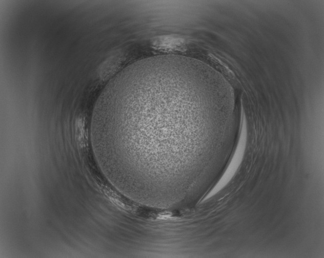 X0000084030420200702232303