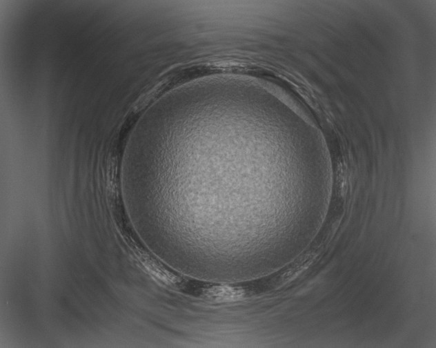 X0000084030421200702232303