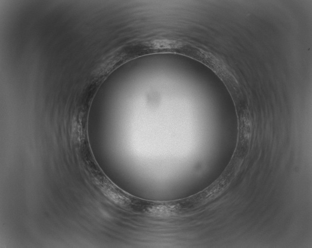 X0000084030422200702232303