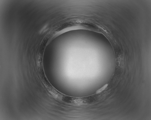 X0000084030423200702232303