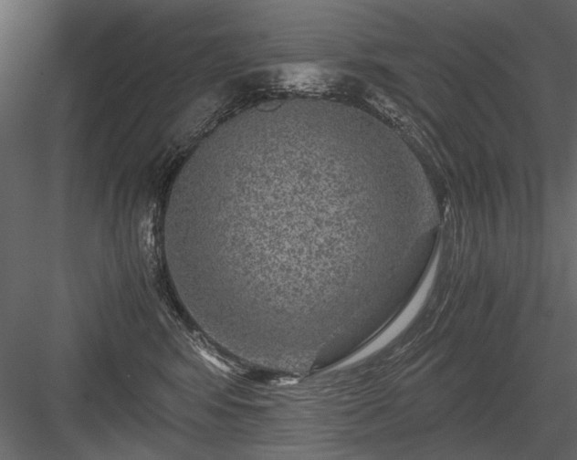 X0000084030424200702232303