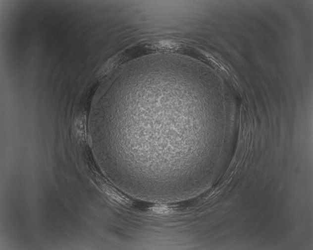 X0000084030425200702232303