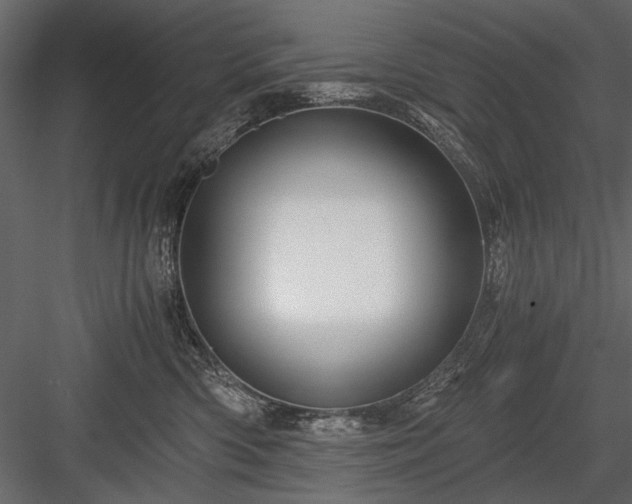 X0000084030426200702232303