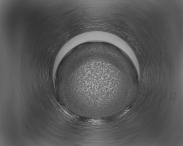 X0000084030428200702232303