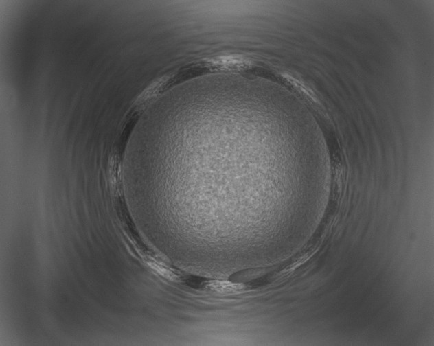 X0000084030429200702232303