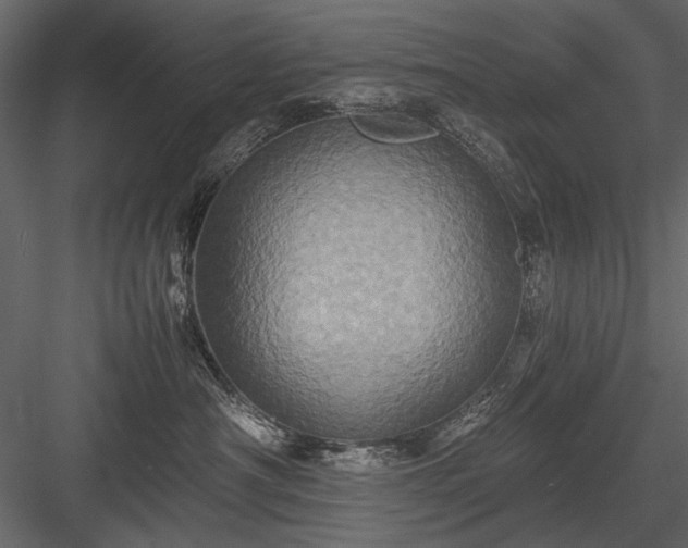 X0000084030430200702232303