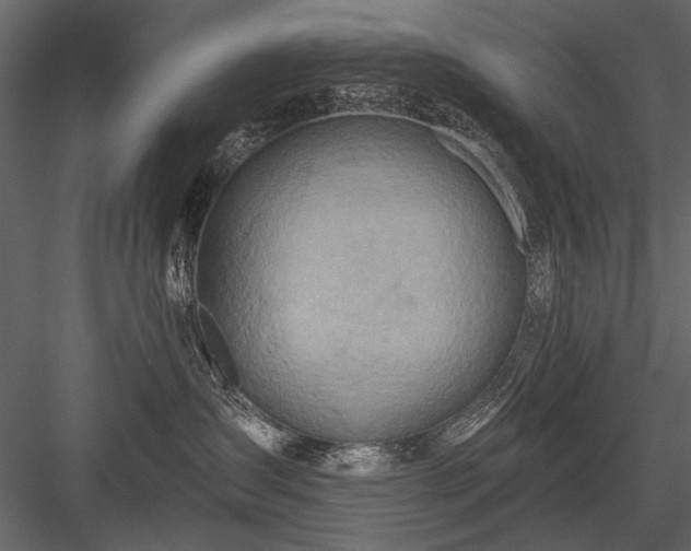 X0000084030431200702232303