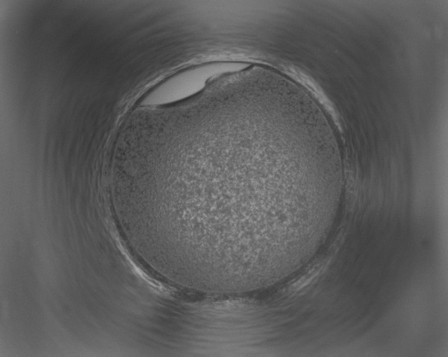 X0000084030433200702232302