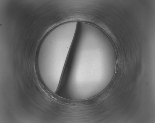 X0000084030434200702232302